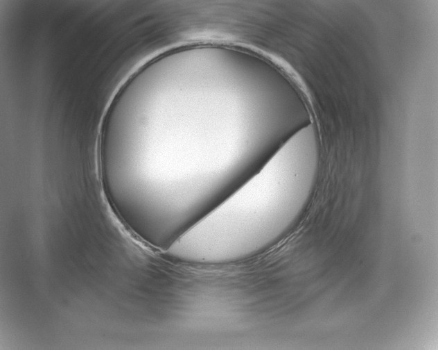 X0000073931295200608111016