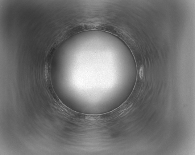 X0000073931299200608111015