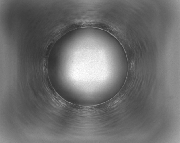 X0000073931300200608111015