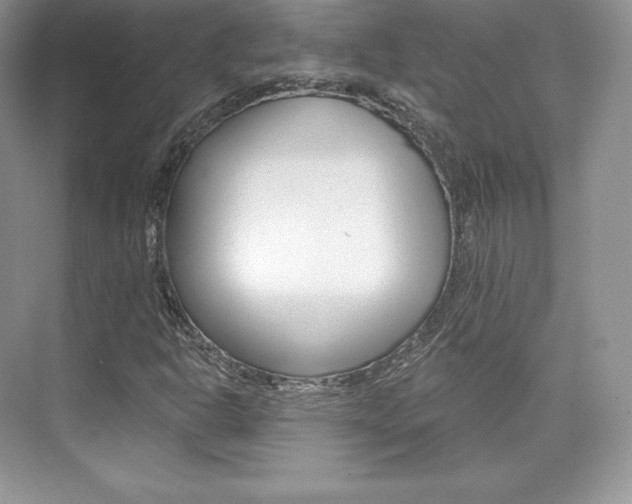 X0000073931302200608111015