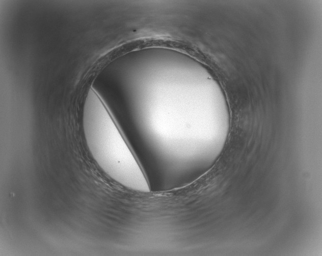X0000073931303200608111015