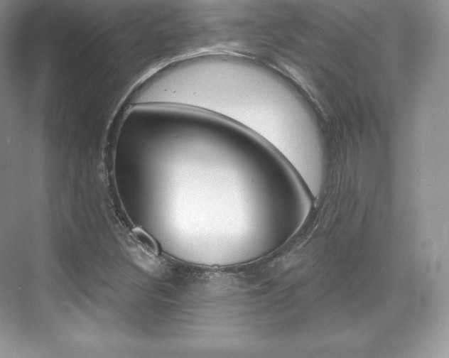 X0000073931308200608111015