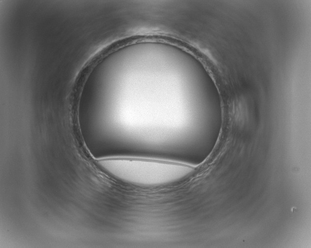 X0000073931311200608111015