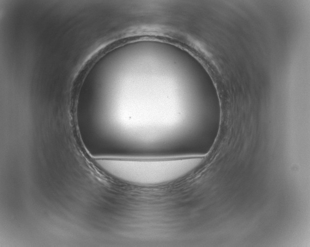 X0000073931312200608111015