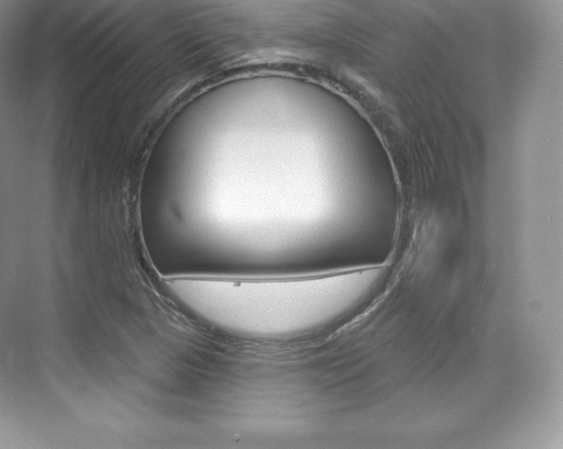 X0000073931313200608111015