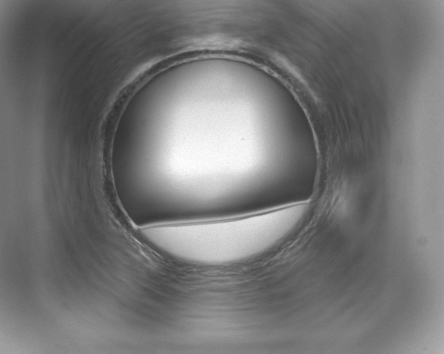 X0000073931315200608111015
