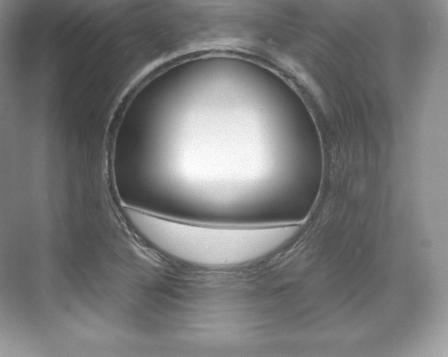 X0000073931316200608111015