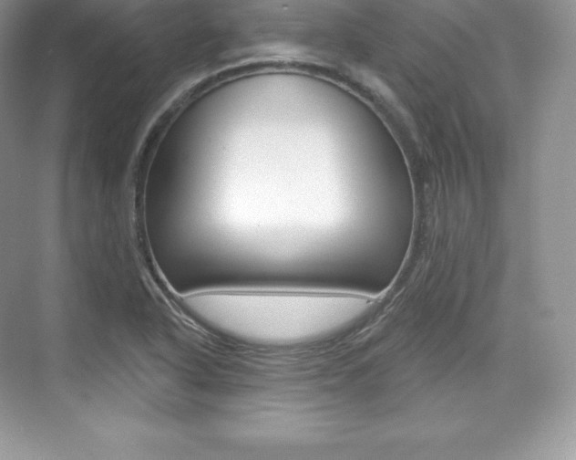 X0000073931318200608111015