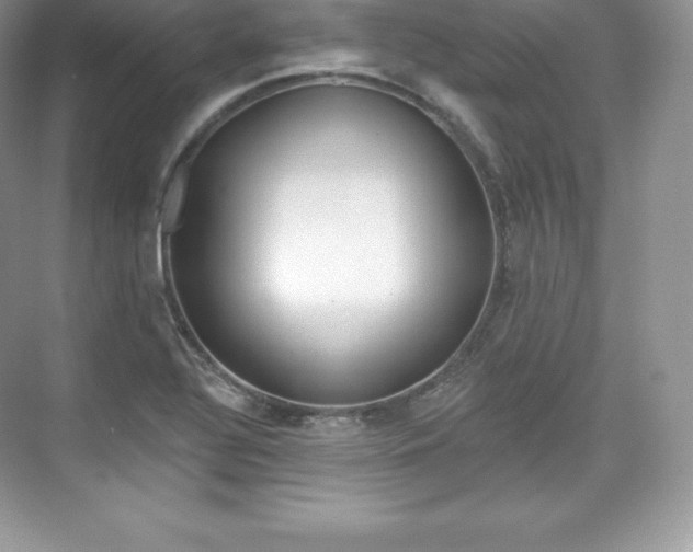 X0000073931320200608111015