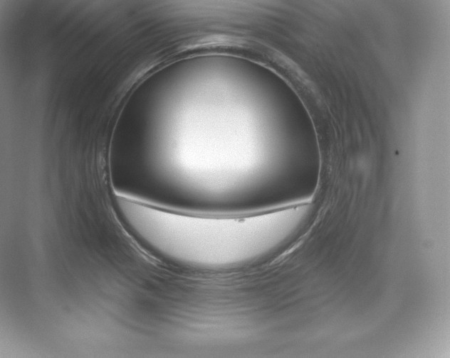 X0000073931321200608111015