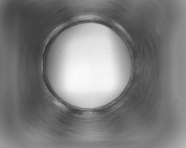 X0000073931322200608111015