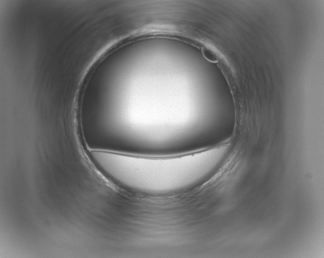 X0000073931325200608111015