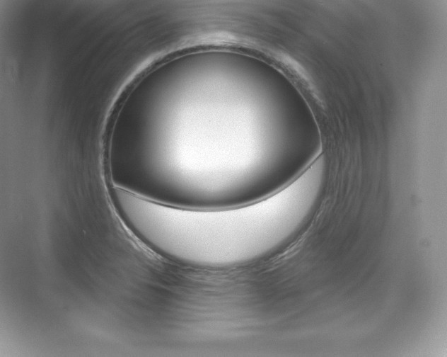 X0000073931326200608111015