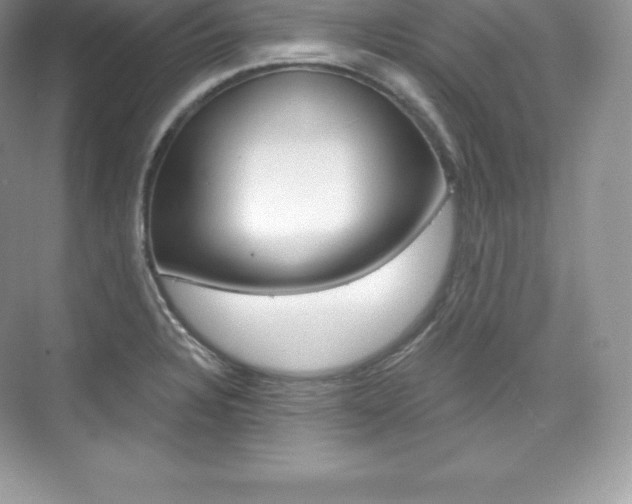 X0000073931328200608111015