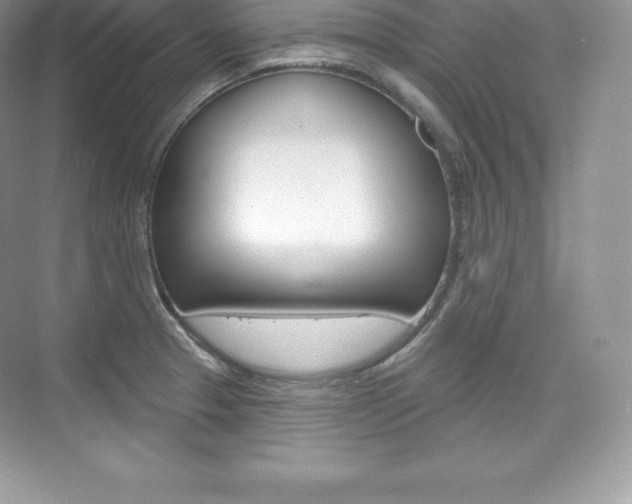 X0000073931329200608111015