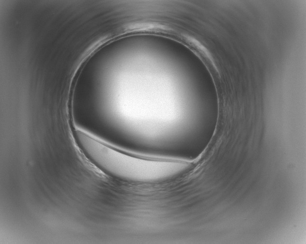 X0000073931330200608111016