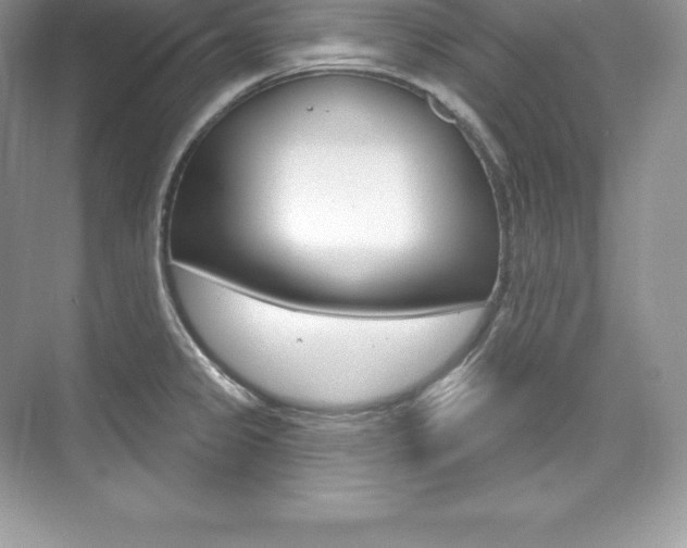 X0000073931333200608111016