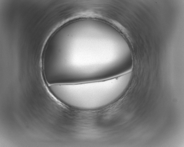X0000073931335200608111016