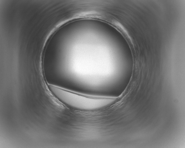 X0000073931336200608111016
