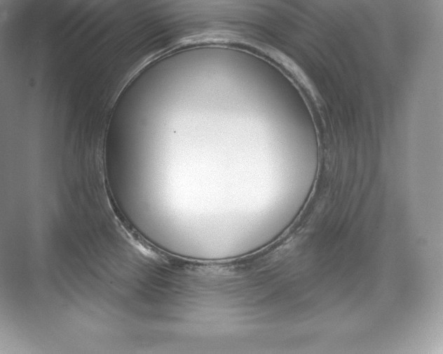 X0000073931337200608111016