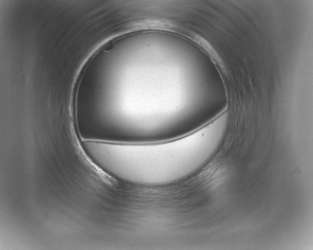 X0000073931339200608111016