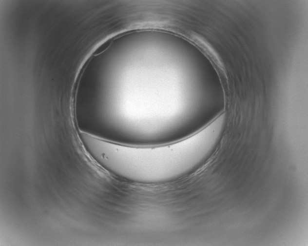 X0000073931340200608111016