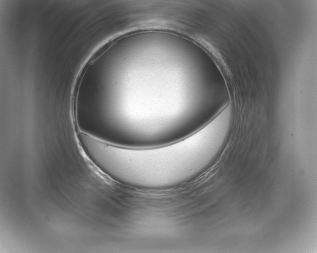 X0000073931342200608111016