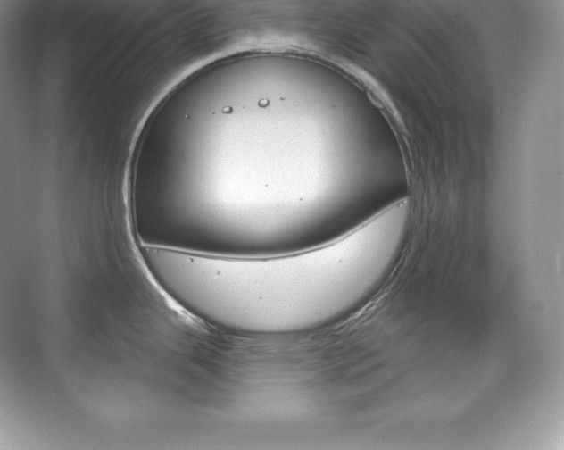 X0000073931343200608111016
