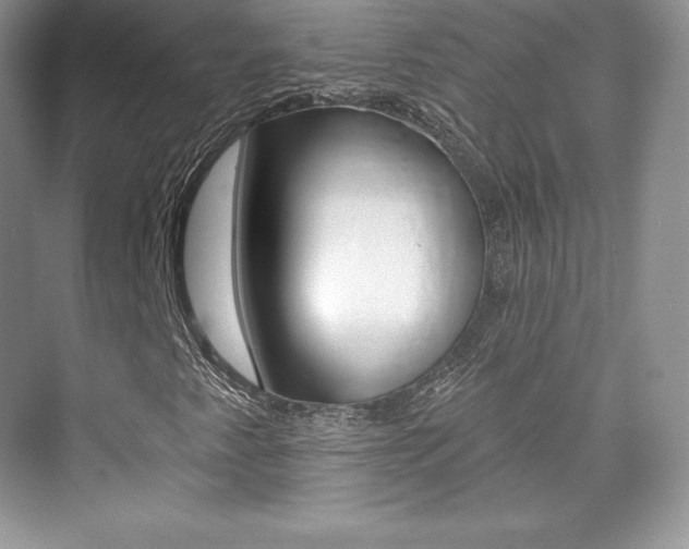 X0000073931345200608111015