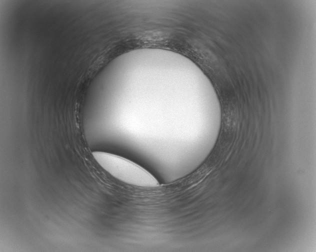 X0000073931346200608111015