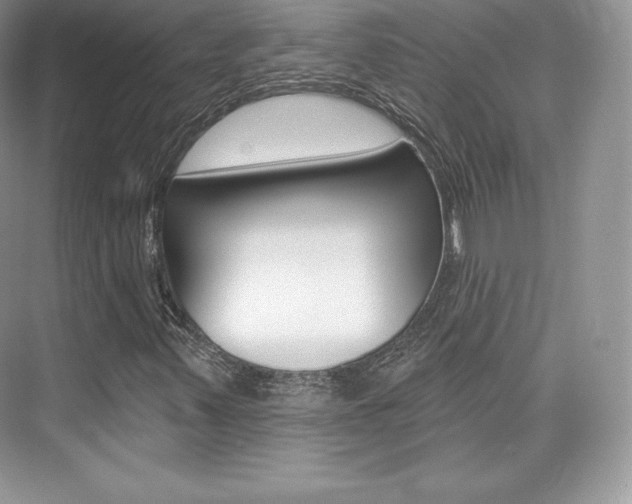 X0000073931347200608111015