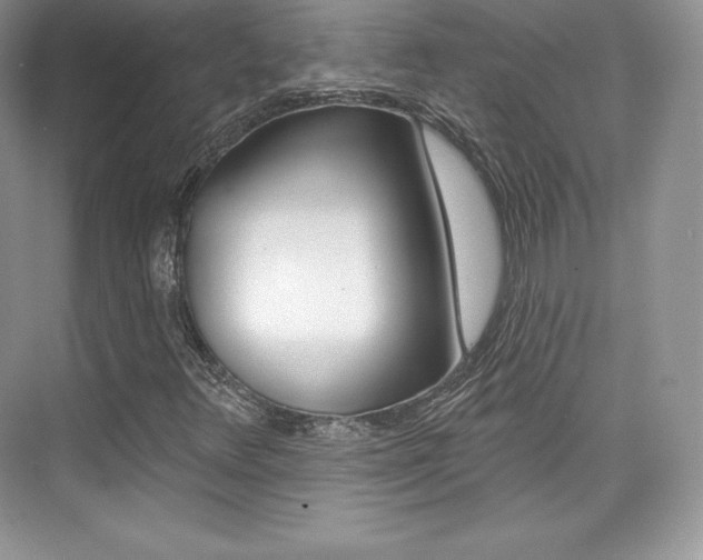 X0000073931348200608111015