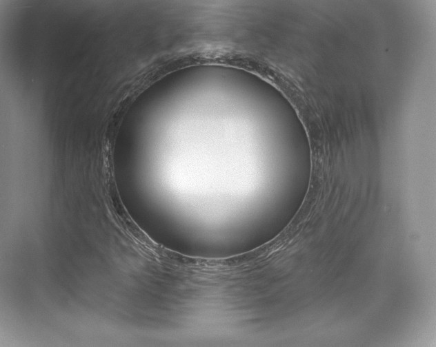 X0000073931349200608111015