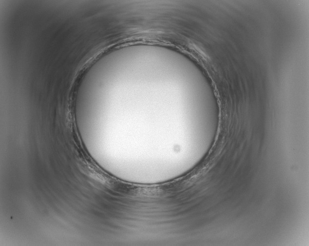 X0000073931354200608111015