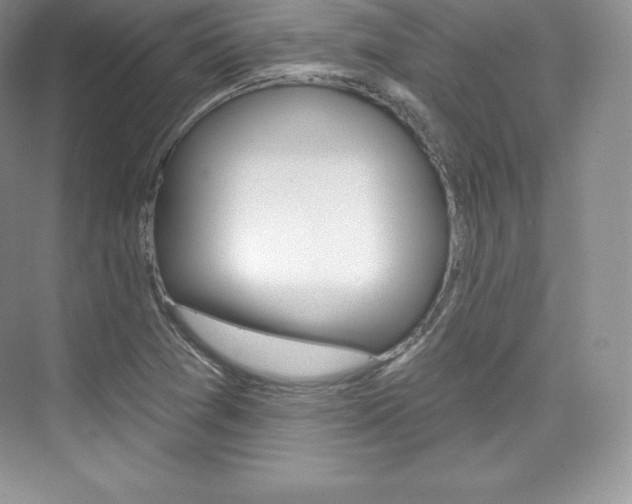 X0000073931361200608111015