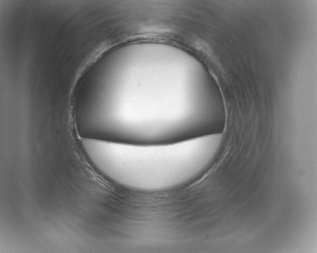 X0000073931362200608111015