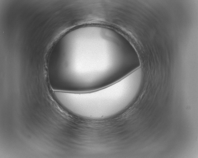 X0000073931363200608111015