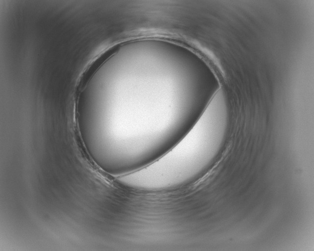 X0000073931365200608111015
