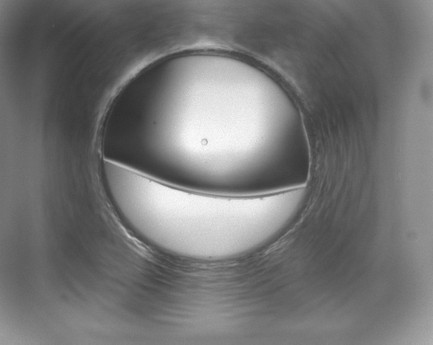 X0000073931367200608111015