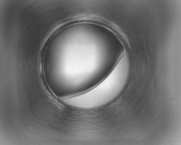 X0000073931368200608111015