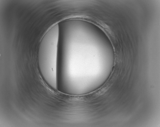 X0000073931369200608111015