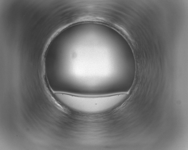 X0000073931371200608111015