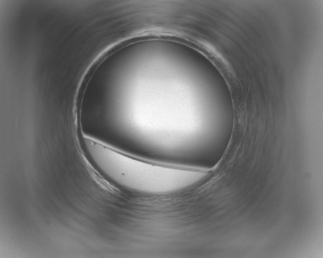X0000073931372200608111014
