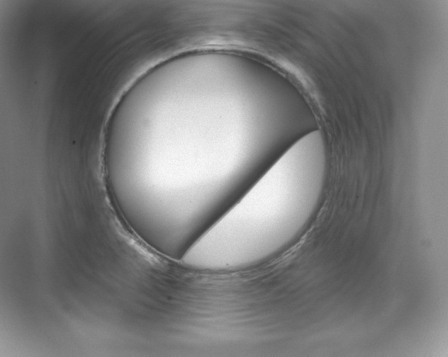 X0000073931374200608111014