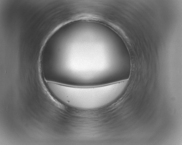 X0000073931375200608111014