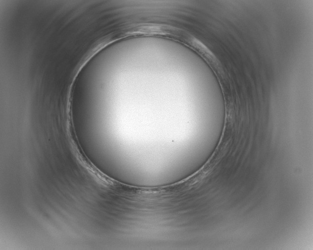 X0000073931378200608111014