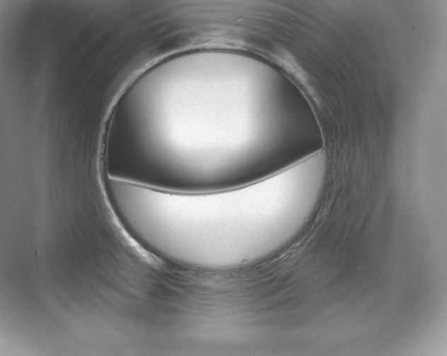X0000073931379200608111014