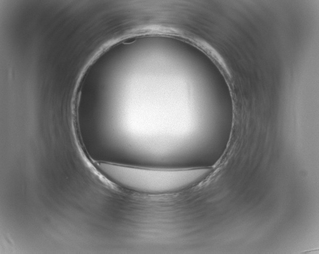 X0000073931381200608111014