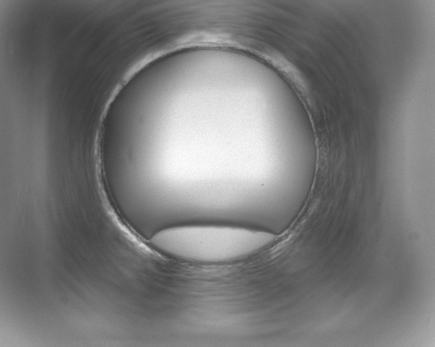 X0000073931382200608111014