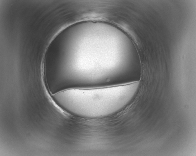 X0000073931383200608111014